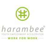 Harambee youth employment accelerator login