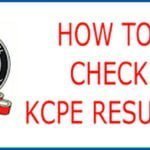 KCPE form one placement 2022