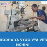 Vyuo vya VETA Tanzania