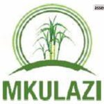 Job vacancies at Mkulazi Holding Company Limited