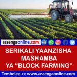 Block Farming Agriculture in Tanzania