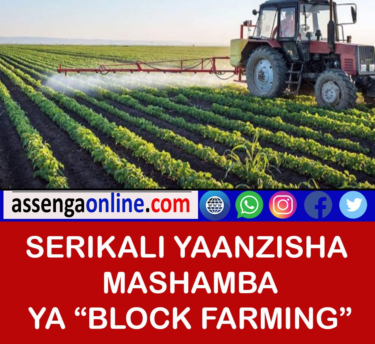 Block Farming Agriculture in Tanzania 