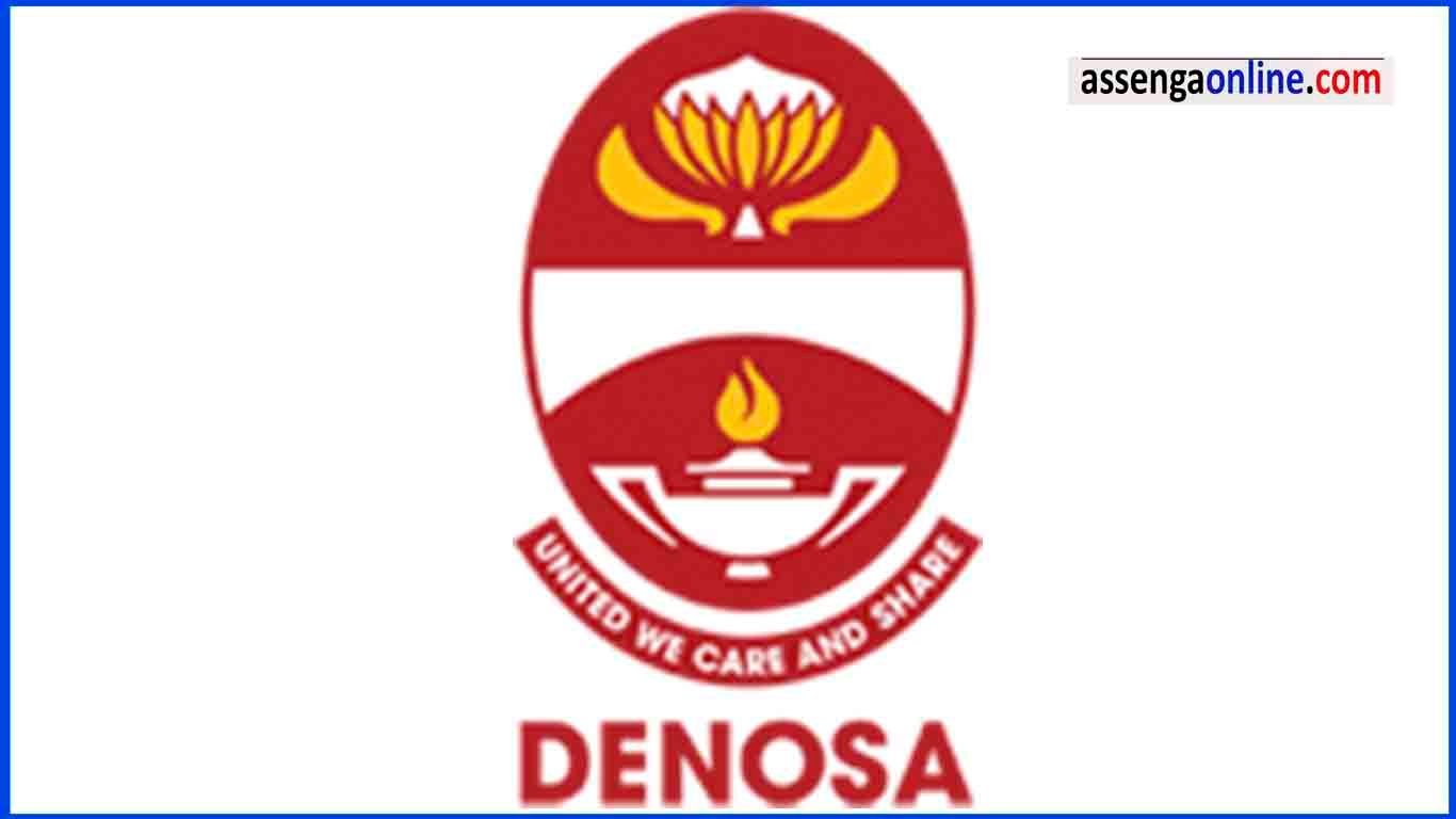 DENOSA bursary online application 2023