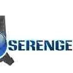 Various Jobs at Serengeti Limited