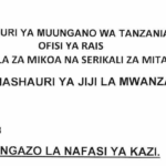 Government Jobs at Mwanza City council