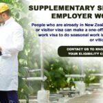 New Zealand Farm Working Jobs 2023