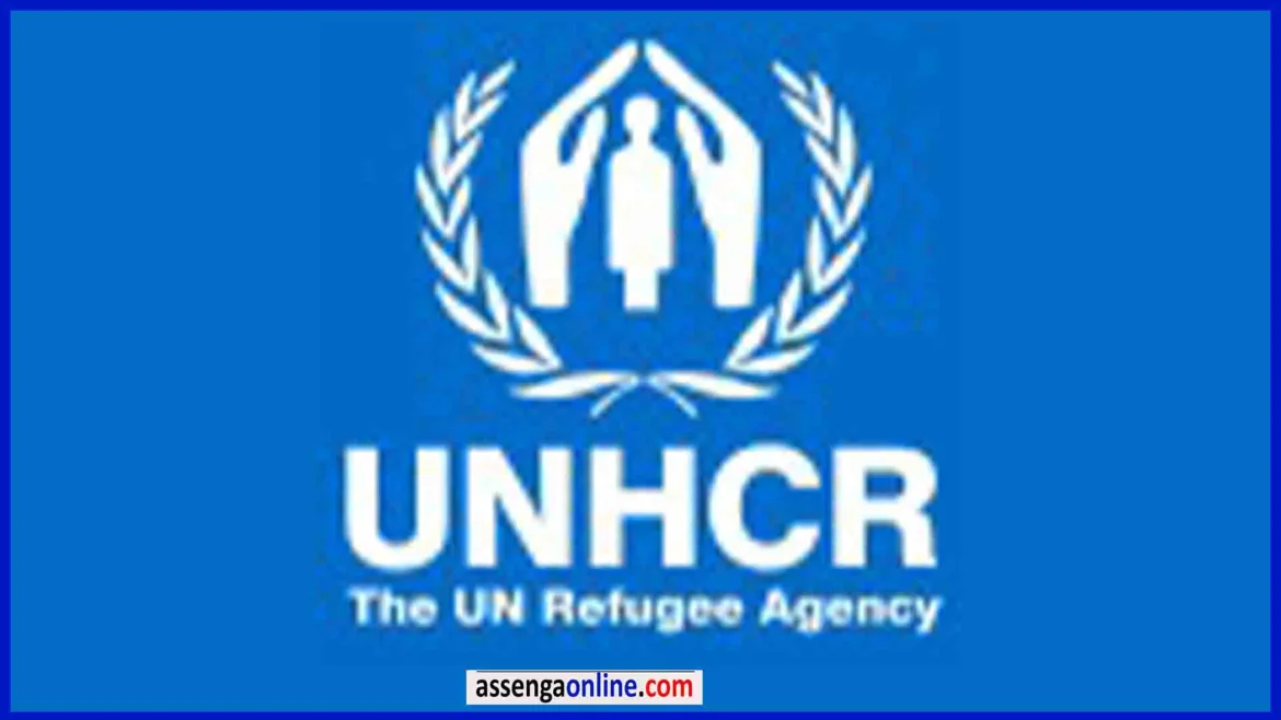 Community-Based Protection Assistant at UNHCR