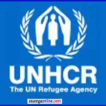 Community-Based Protection Assistant at UNHCR