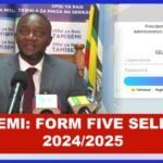 selform.tamisemi.go.tz 2025| Form five selection