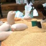 Bei ya mahindi Tanzania 2023