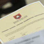 SEAB PSLE Results 2023