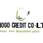 Credit Officers at Chogo Credit Co. LTD