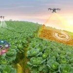 The Role of Variable Rate Technology in Agriculture 