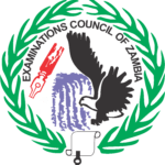 How to check grade 12 results online