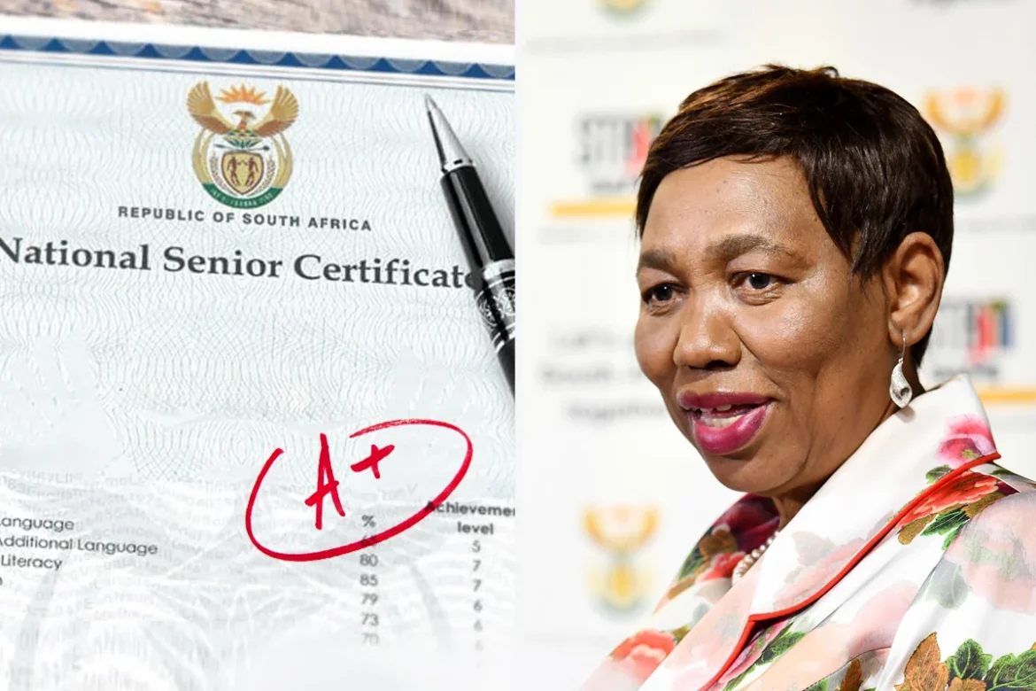 Matric results 2024 Gauteng