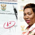 Matric results 2024 Gauteng