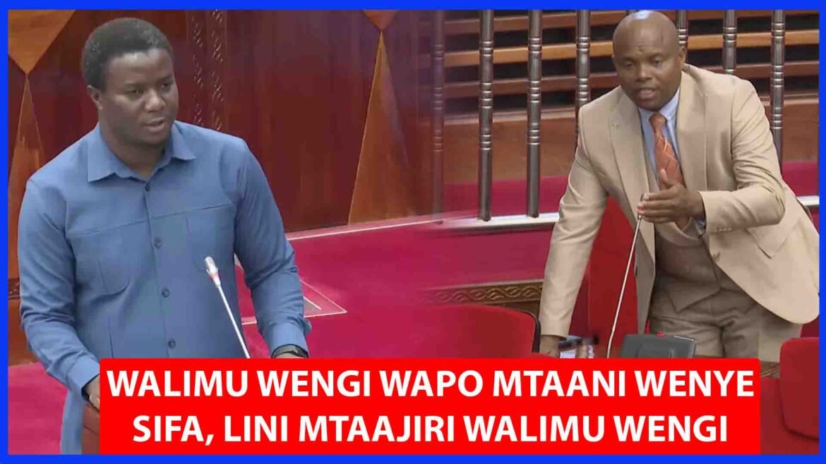 MPs order the government to employ more teachers
