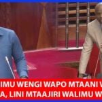 MPs order the government to employ more teachers