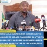 Selform Tamisemi go tz 2024