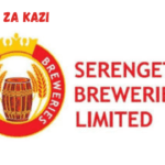 Sales Executive (Talent Pool) at Serengeti Breweries Limited 