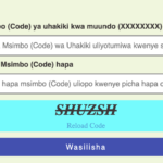 NACTE Uhakiki March Intake 2024