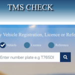 Kuangalia Deni La Gari online TMS traffic