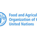 Driver at FAO Dodoma Tanzania