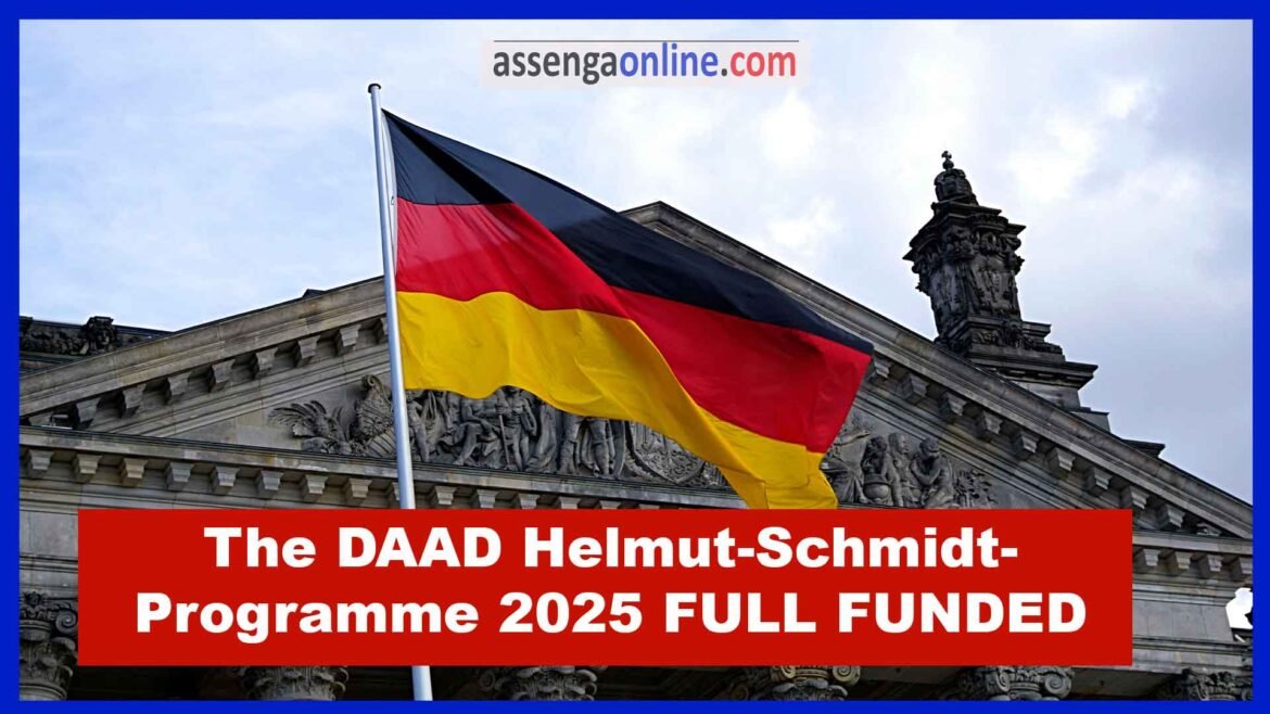 The DAAD Helmut-Schmidt-Programme 2025