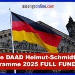 The DAAD Helmut-Schmidt-Programme 2025