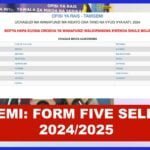 wanafunzi waliochaguliwa kidato cha tano 2024