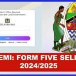 www.tamisemi.go.tz form five selection 2024