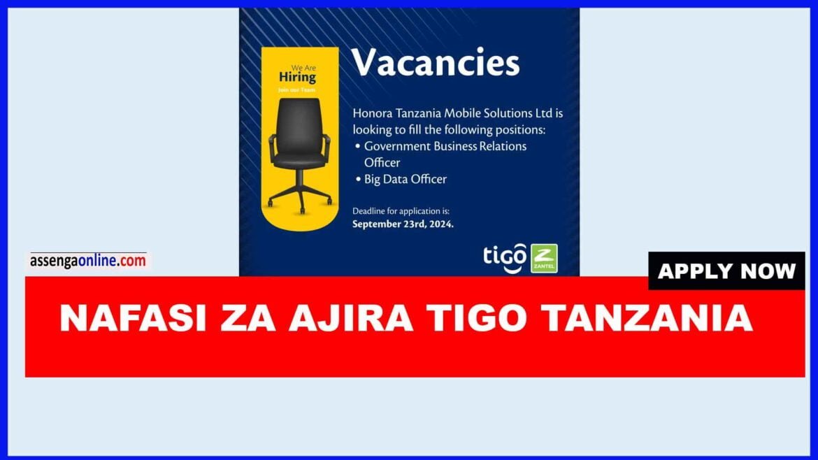 GOVERNMENT BUSINESS RELATIONS OFFICER AT TIGO