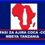Machine Specialist at Coca-Cola Beverages Africa - Mbeya Tanzania