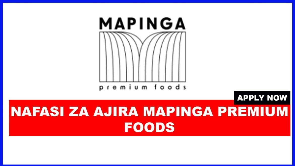 Accountant at  Mapinga Premium Foods Limited