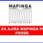 Accountant at  Mapinga Premium Foods Limited