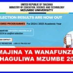 MZUMBE names of selected applicants 2024/2025