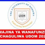 UDOM Selected applicants 2024/2025