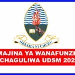 UDSM Selected applicants 2024/2025