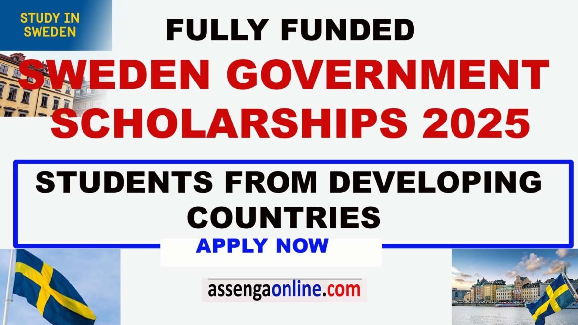 Sweden Institute Scholarship for Global Professionals