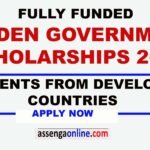 Sweden Institute Scholarship for Global Professionals