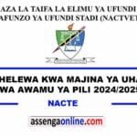 NACTE Delay in names for the second round of students verification 2024/25