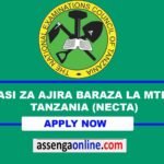 10 Job vacancies at National Examinations Council of Tanzania (NECTA)