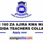 Teachers Jobs at SINGIDA TEACHERS COLLEGE