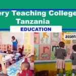 Certificate in Early Childhood Education colleges in Tanzania