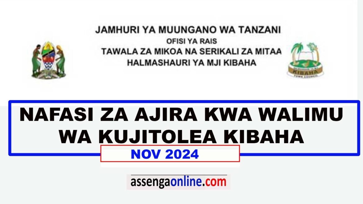 Volunteer teaching positions at Kibaha Town Council