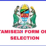 Form One Selection 2025 - 2026