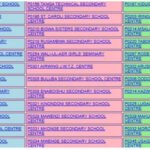 Matokeo ya kidato cha pili, darasa la nne 2024