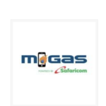 Head of Security Vacancy at M-Gas Tanzania