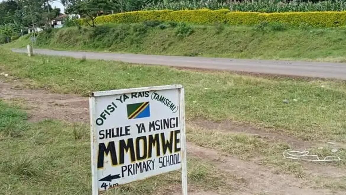 Volunteering Opportunity: Teaching Positions at Mmomwe Primary School