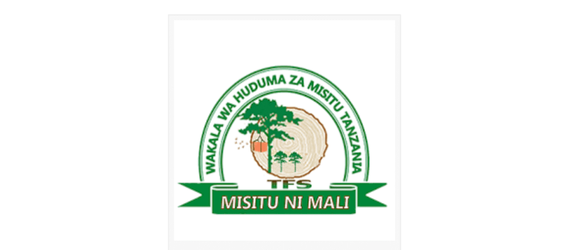 🚨 176 New Job Vacancies at Tanzania Forest Services (TFS) – Apply Now!